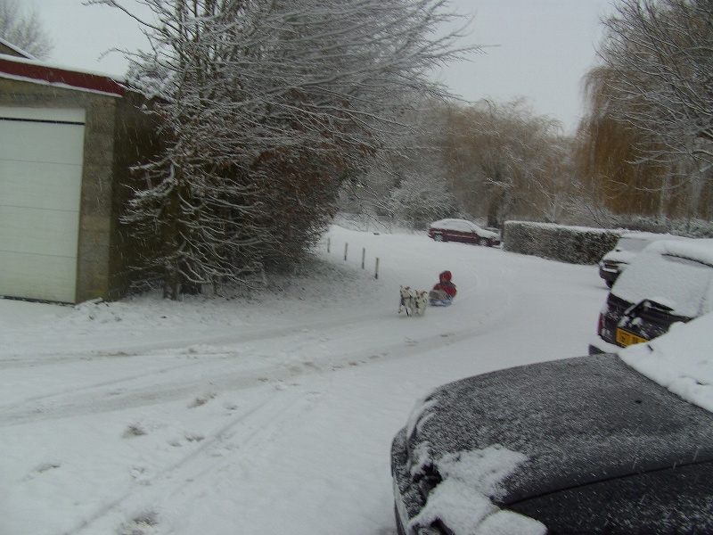 Dans la neige